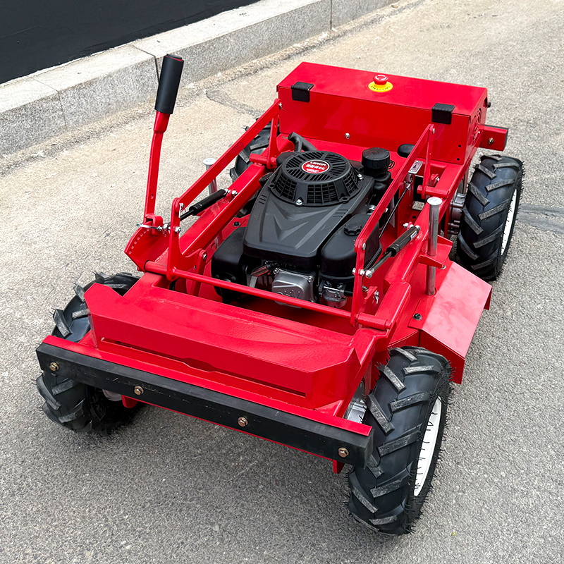 Customized Lawn mower/adjustab – Reel Handle recenzja i cena